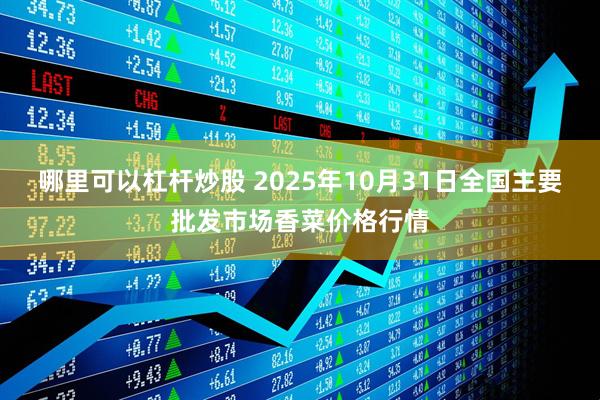 哪里可以杠杆炒股 2025年10月31日全国主要批发市场香菜价格行情