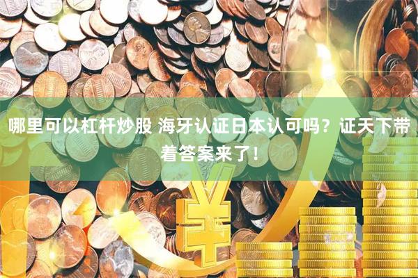 哪里可以杠杆炒股 海牙认证日本认可吗？证天下带着答案来了！