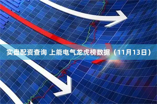 实盘配资查询 上能电气龙虎榜数据（11月13日）