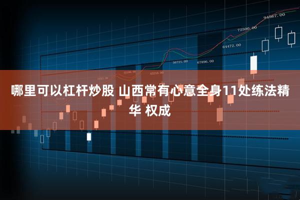 哪里可以杠杆炒股 山西常有心意全身11处练法精华 权成