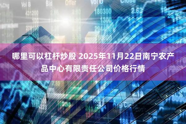 哪里可以杠杆炒股 2025年11月22日南宁农产品中心有限责任公司价格行情