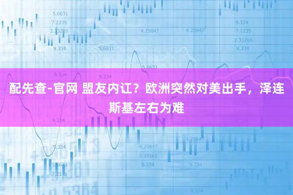 配先查-官网 盟友内讧？欧洲突然对美出手，泽连斯基左右为难